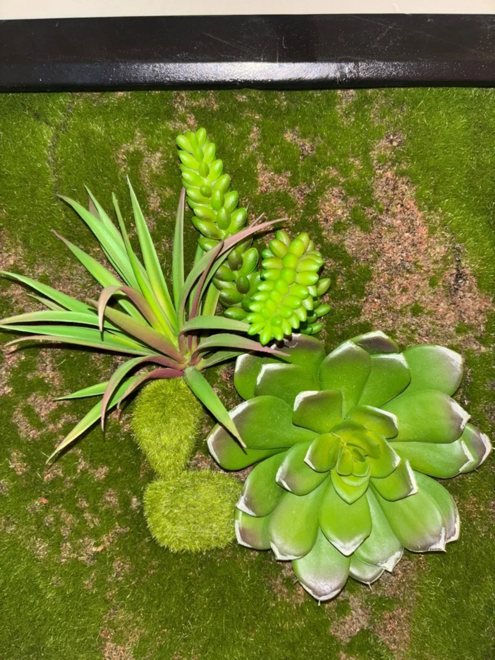 Framed Green Succulent Moss Wall Art - Decorative Plant Plaque